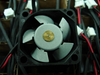 AVC F2510ct 12V DC 25mm Brushless Cooling Fan - clean product photo